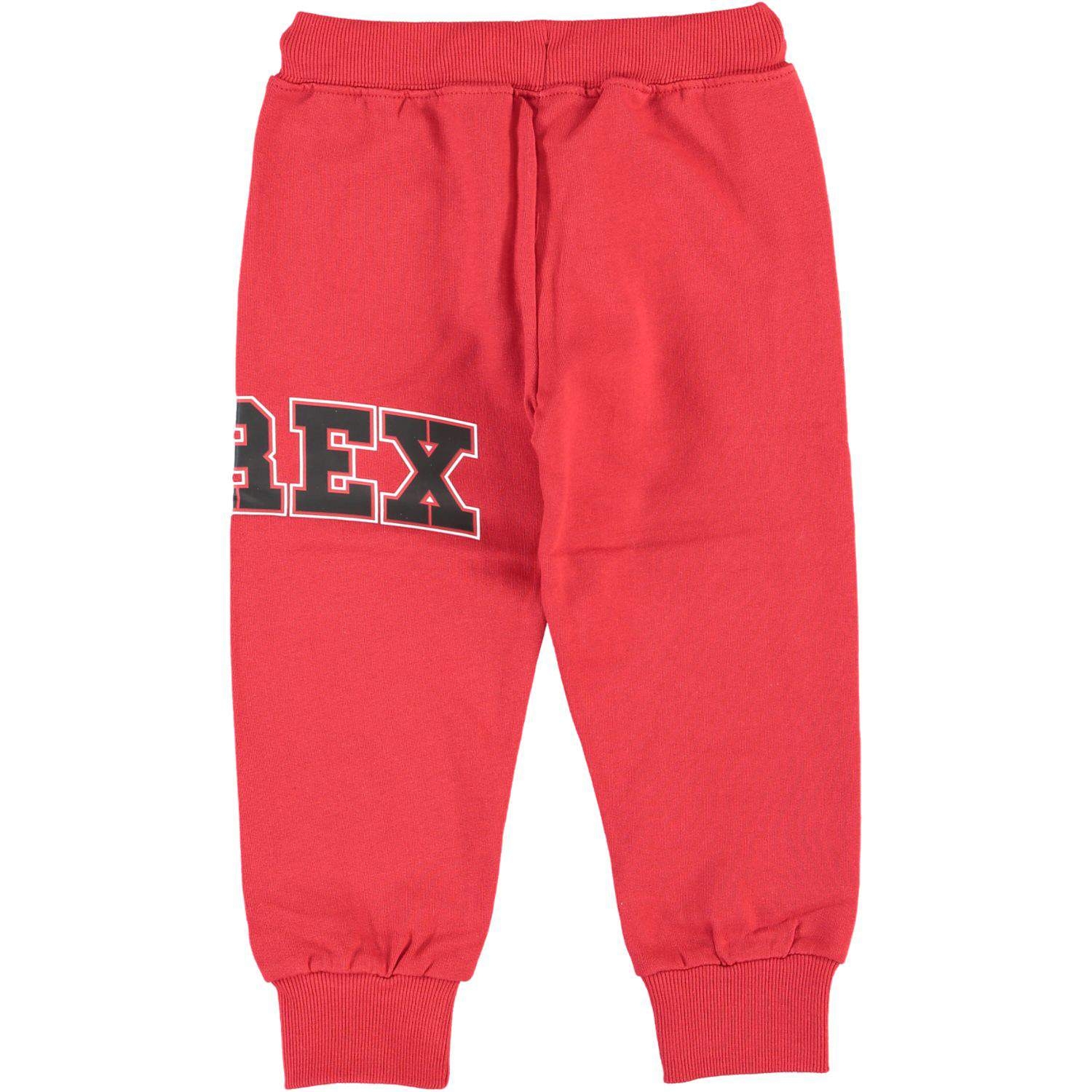 PANTATUTA BIMBO PYREX