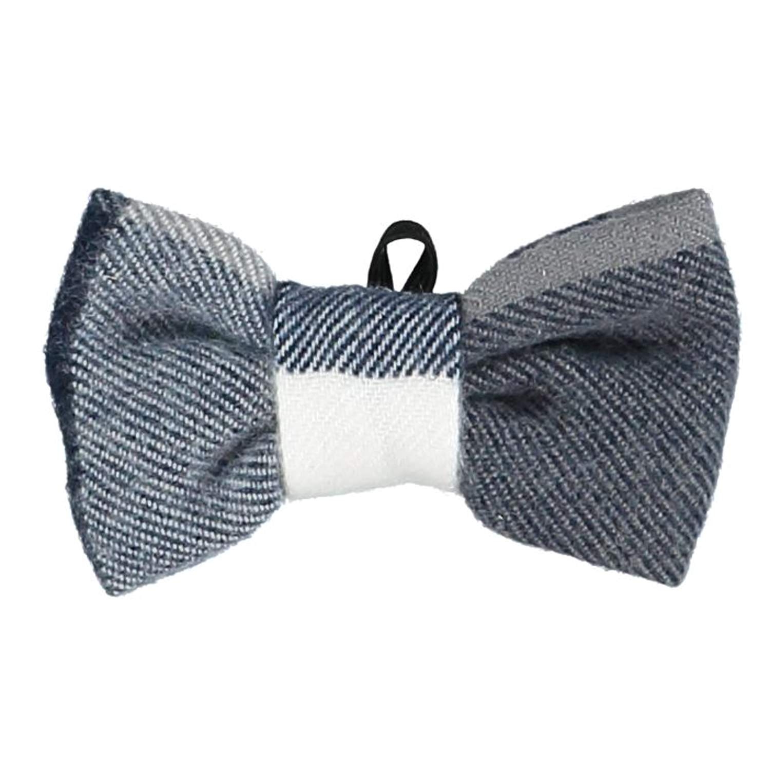 PAPILLON NEONATO IDO