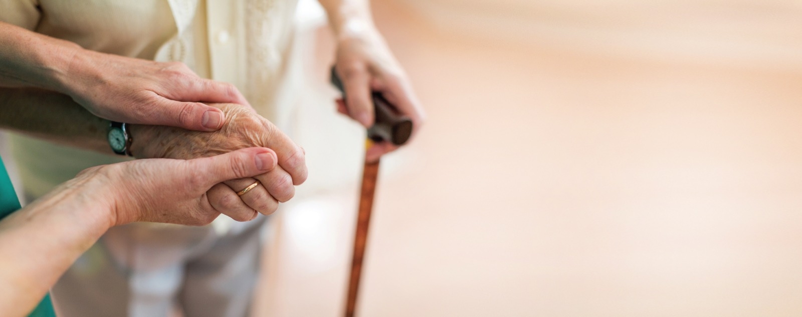 SERVIZI &amp; ATTIVITÀ