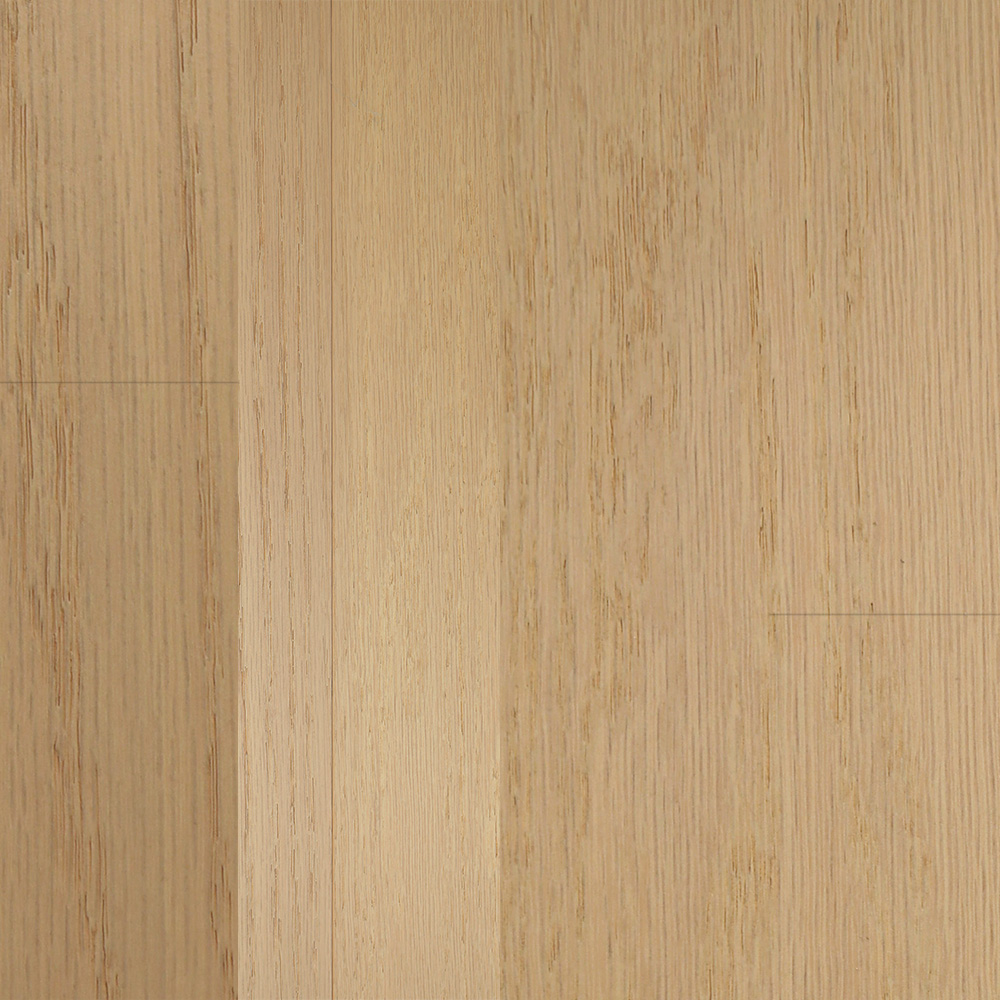 Rovere Slavonia | Naturalizzato