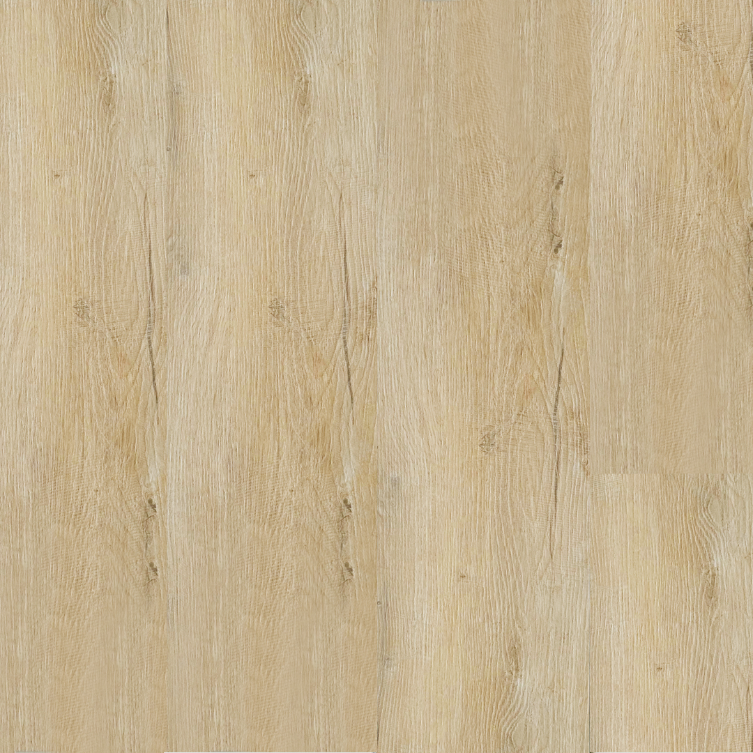 SVR561 evo - SPC SmartCore