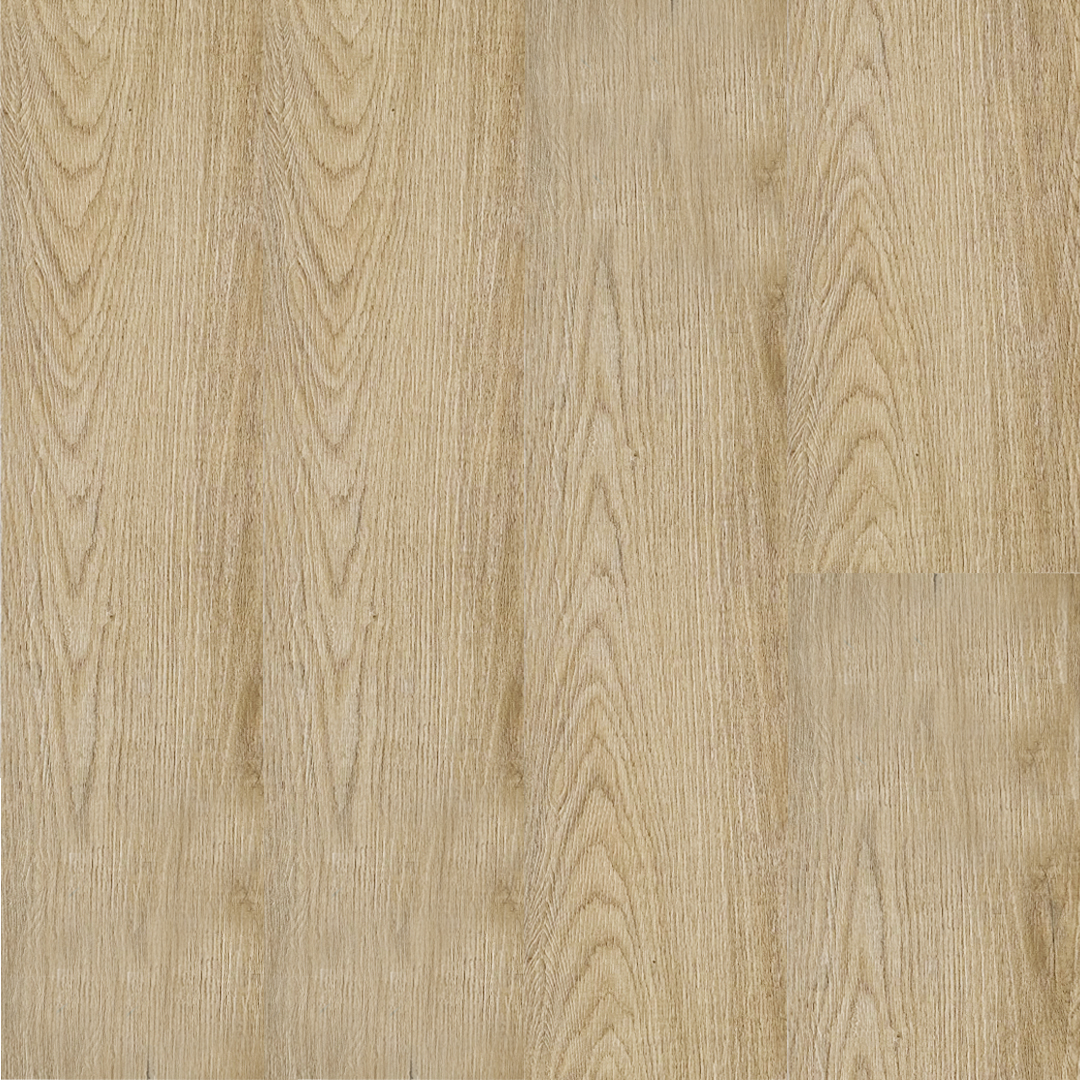 SVR565 evo - SPC SmartCore