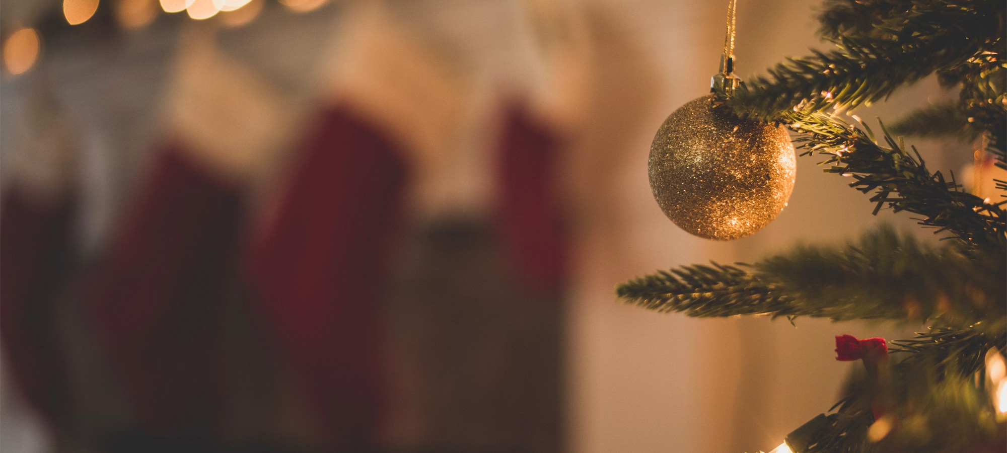 CHIUSI PER FESTIVITA&#39; NATALIZIEDAL 22 DICEMBRE AL 6 GENNAIO