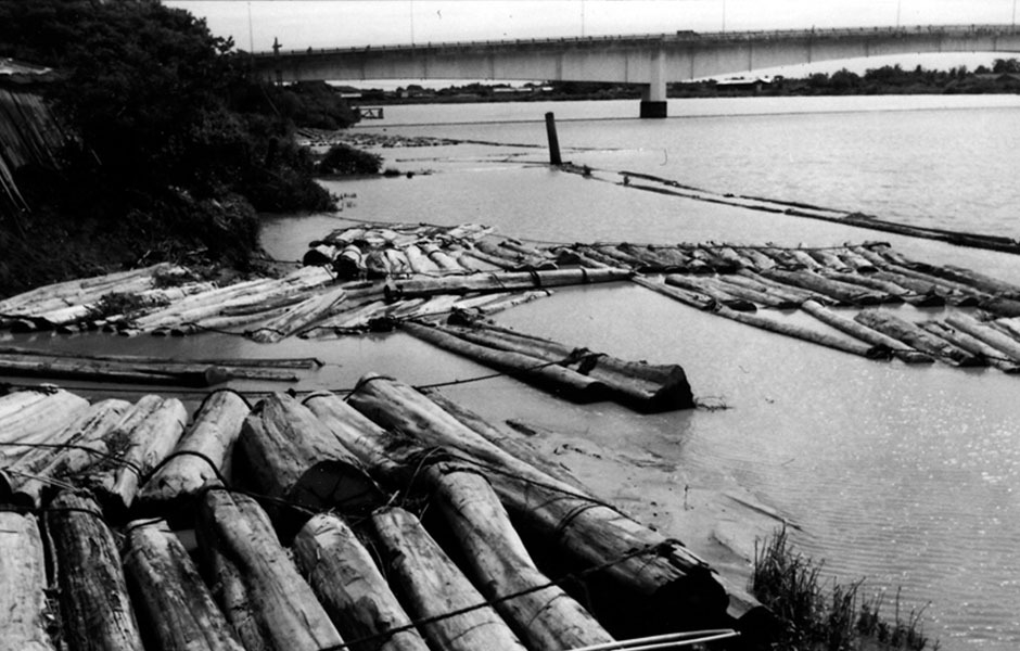 SESSANT'ANNI DI RICERCA E PASSIONE PER IL LEGNO