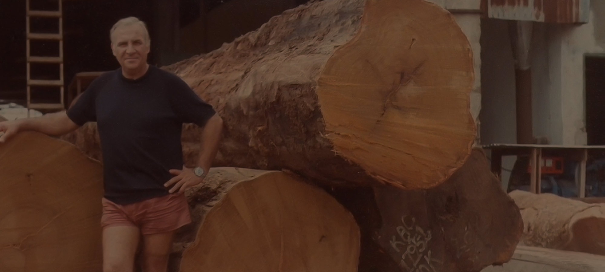 Gli esordi negli anni &#39;60