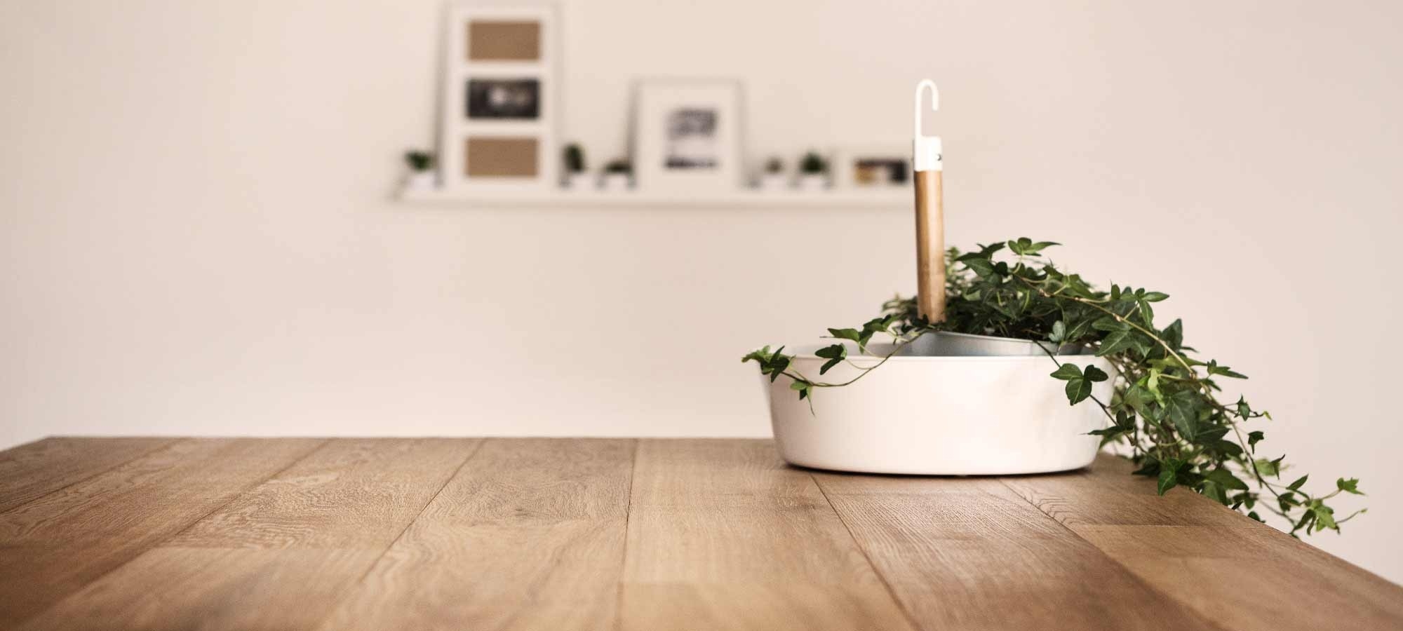 MONTAGNA PARQUET: DAL 1954 RENDIAMO UNICA LA TUA CASA.