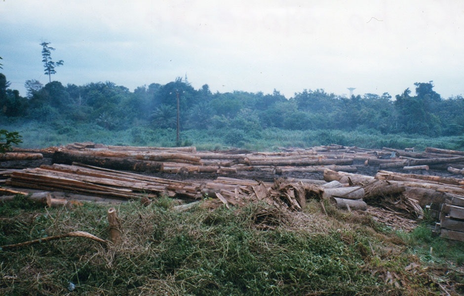 SESSANT'ANNI DI RICERCA E PASSIONE PER IL LEGNO