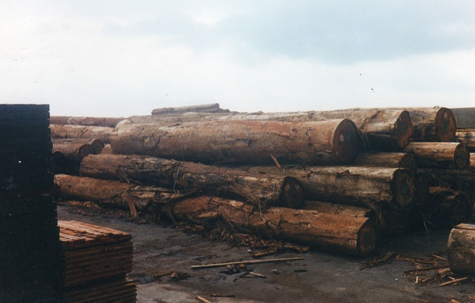 SESSANT'ANNI DI RICERCA E PASSIONE PER IL LEGNO