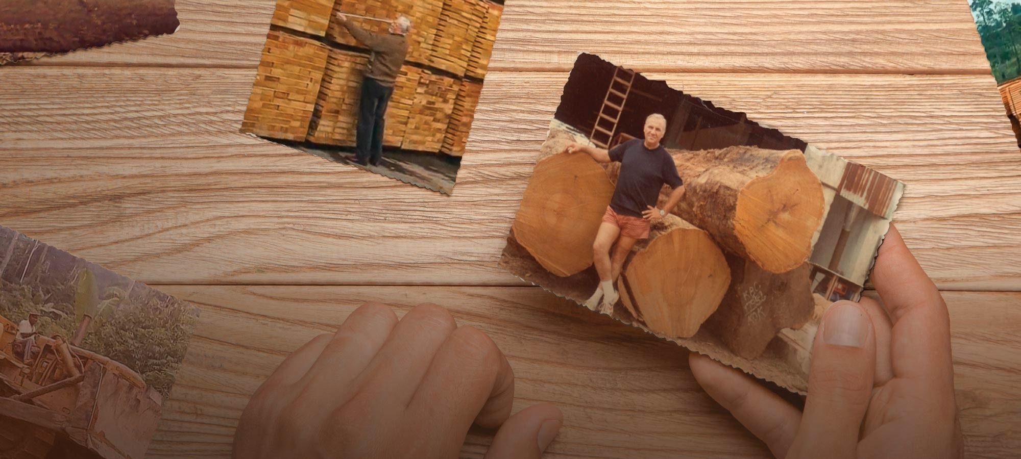 SESSANT&#39;ANNI DI RICERCA E PASSIONE PER IL LEGNO