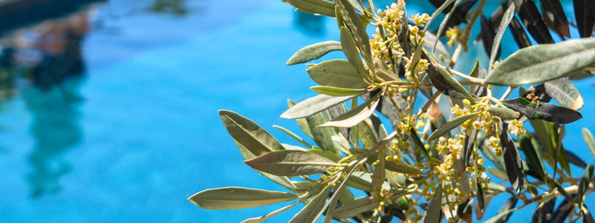 Hi, Have a question?