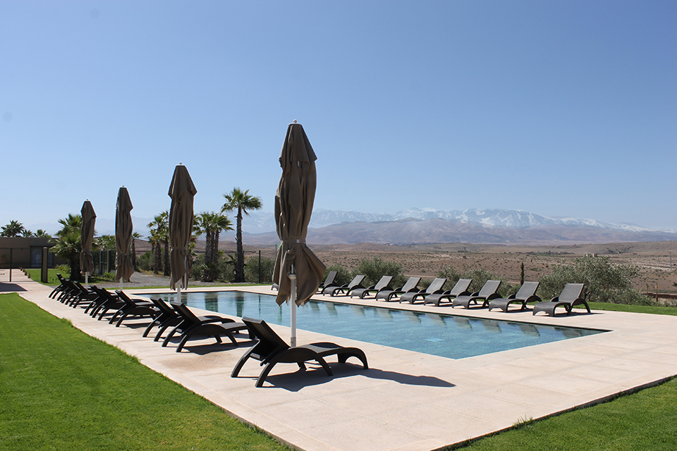 Olive Hill Clinique - Galerie