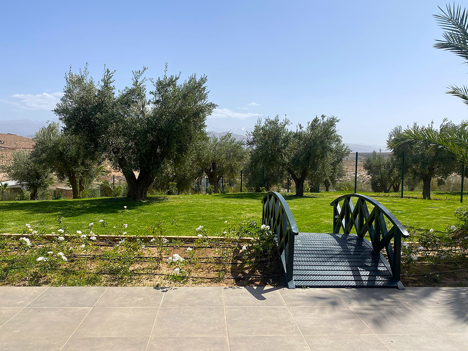 Olive Hill Clinique - Galerie