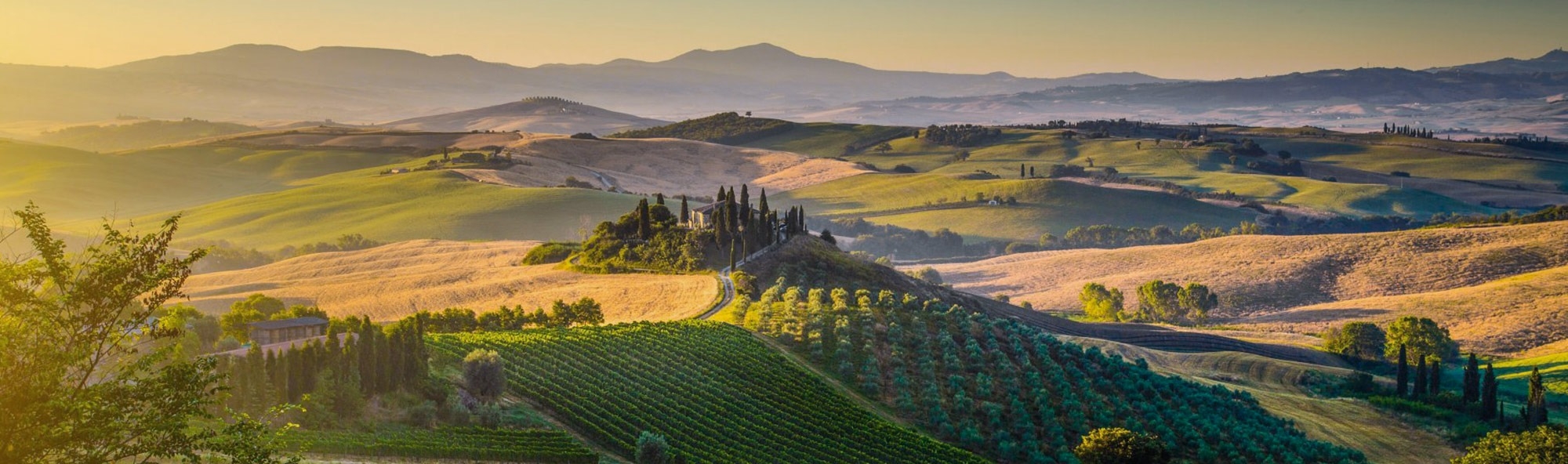 Tuscany Food &amp;amp;amp; Wine Tour